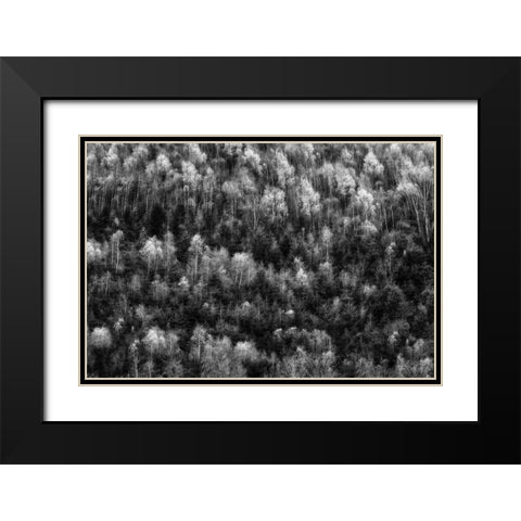 Untitled Black Modern Wood Framed Art Print with Double Matting by Ghesquiere, Hilde