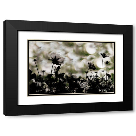 Autumn Chorus Black Modern Wood Framed Art Print with Double Matting by Ikeda, Keisuke
