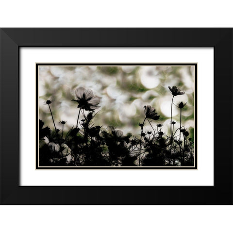 Autumn Chorus Black Modern Wood Framed Art Print with Double Matting by Ikeda, Keisuke