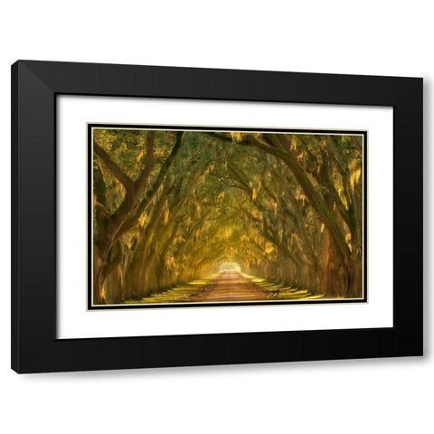 Illumination Alley Black Modern Wood Framed Art Print with Double Matting by Moore, Chris