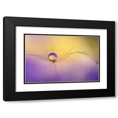 In Arms Black Modern Wood Framed Art Print with Double Matting by Westum, Heidi