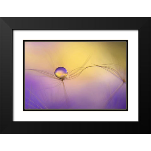 In Arms Black Modern Wood Framed Art Print with Double Matting by Westum, Heidi