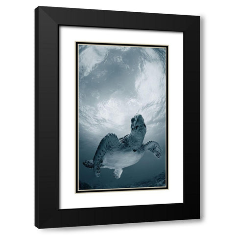 Elegy Black Modern Wood Framed Art Print with Double Matting by Narchuk, Andrey