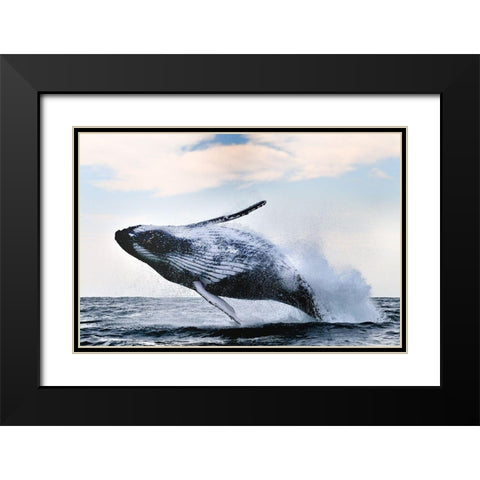 Breach Black Modern Wood Framed Art Print with Double Matting by Safonov, Alexander