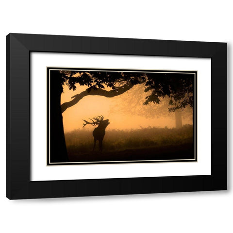 The Love Call Black Modern Wood Framed Art Print with Double Matting by Jevric Fotorax, Radojica