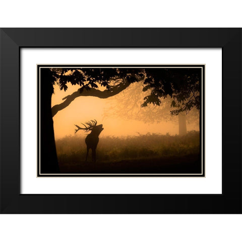 The Love Call Black Modern Wood Framed Art Print with Double Matting by Jevric Fotorax, Radojica