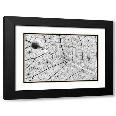 Tr-Nsparences Black Modern Wood Framed Art Print with Double Matting by Bravin, Fabien