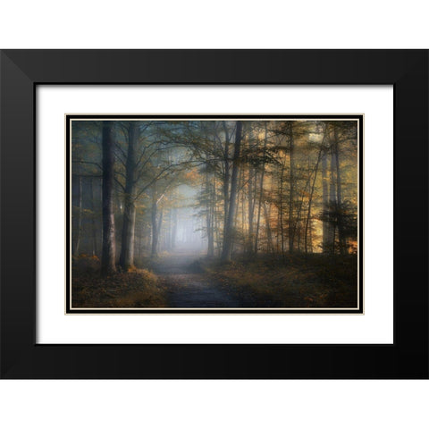 Autumn Symphony Black Modern Wood Framed Art Print with Double Matting by Maier, Norbert