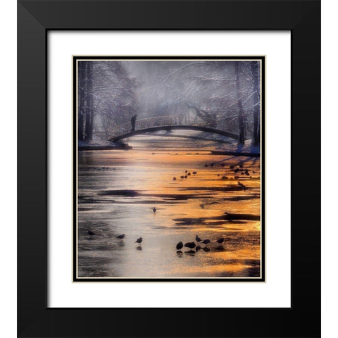 Frozen Lake Black Modern Wood Framed Art Print with Double Matting by Andreescu, Cristian