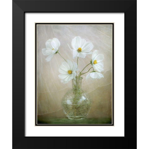 Cosmos Breeze Black Modern Wood Framed Art Print with Double Matting by Disher, Mandy