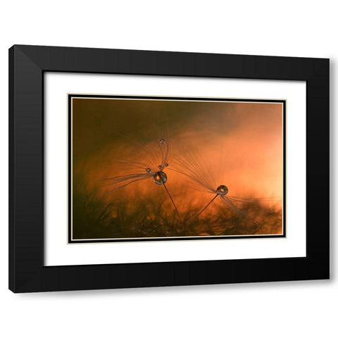 Forest Fire Black Modern Wood Framed Art Print with Double Matting by Westum, Heidi