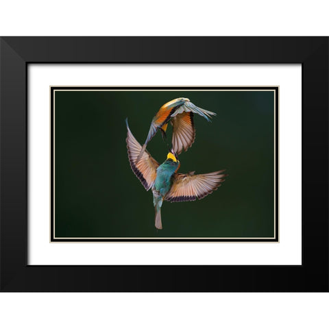 Fight Between Rainbows Black Modern Wood Framed Art Print with Double Matting by Redaelli, Marco