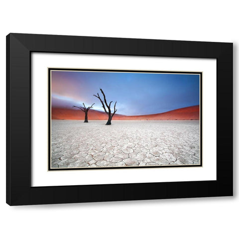 Mist Over Deadvlei Black Modern Wood Framed Art Print with Double Matting by Mcrae, Ben