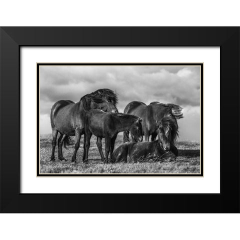 Happy Family Black Modern Wood Framed Art Print with Double Matting by Ingibergsson, Bragi