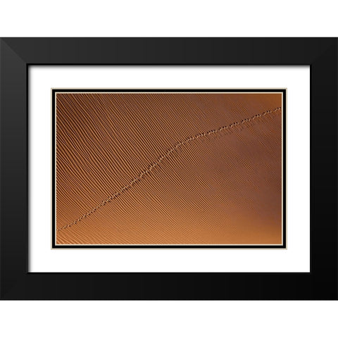 Footprint Black Modern Wood Framed Art Print with Double Matting by Momeni, Mohammadreza