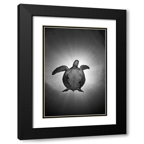 Sun Black Modern Wood Framed Art Print with Double Matting by Narchuk, Andrey