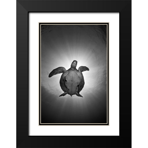 Sun Black Modern Wood Framed Art Print with Double Matting by Narchuk, Andrey