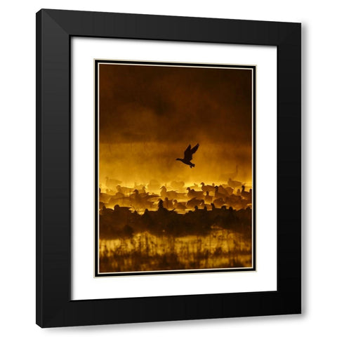 Fire In The Mist Black Modern Wood Framed Art Print with Double Matting by Forns, Alfred