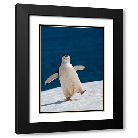 Life Is Good Black Modern Wood Framed Art Print with Double Matting by Kokinskiy, Sergey