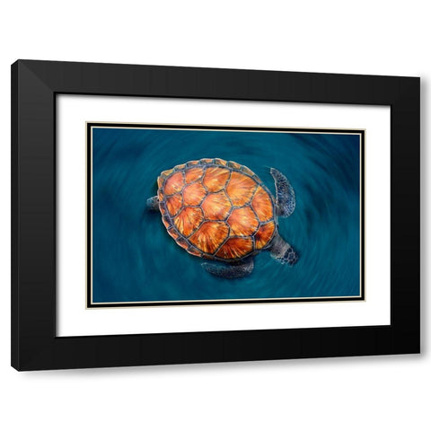 Spin Turtle Black Modern Wood Framed Art Print with Double Matting by Garcia, Sergi
