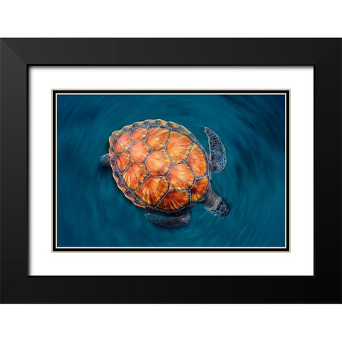 Spin Turtle Black Modern Wood Framed Art Print with Double Matting by Garcia, Sergi
