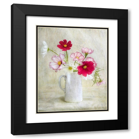 Cosmos Carnival Black Modern Wood Framed Art Print with Double Matting by Disher, Mandy
