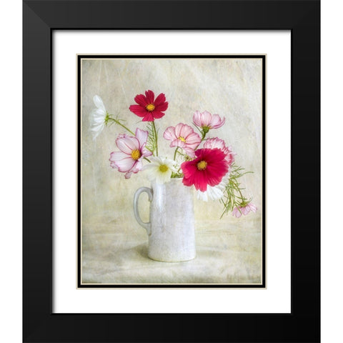 Cosmos Carnival Black Modern Wood Framed Art Print with Double Matting by Disher, Mandy