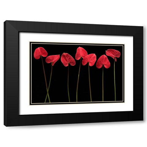 Botanical Hearts Black Modern Wood Framed Art Print with Double Matting by Barbu, Floriana