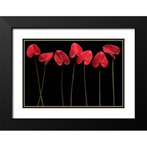 Botanical Hearts Black Modern Wood Framed Art Print with Double Matting by Barbu, Floriana