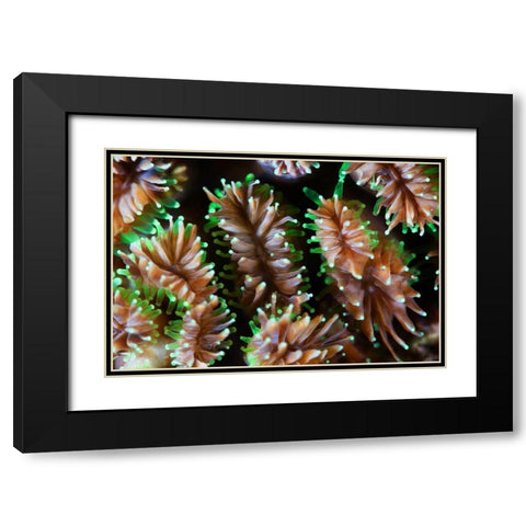 Alien Forms Black Modern Wood Framed Art Print with Double Matting by Narchuk, Andrey