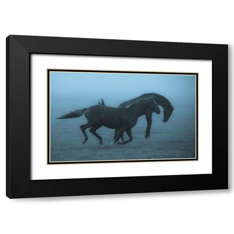 Horses In The Fog Black Modern Wood Framed Art Print with Double Matting by Wallberg, Allan
