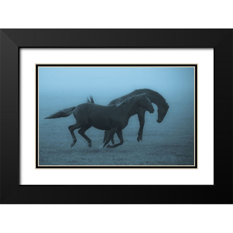 Horses In The Fog Black Modern Wood Framed Art Print with Double Matting by Wallberg, Allan