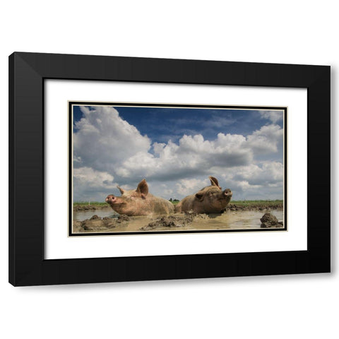Mudpool Fun Black Modern Wood Framed Art Print with Double Matting by Van Den, Gert