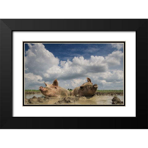 Mudpool Fun Black Modern Wood Framed Art Print with Double Matting by Van Den, Gert