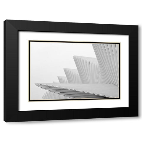 Fly Black Modern Wood Framed Art Print with Double Matting by Della Latta, Massimo