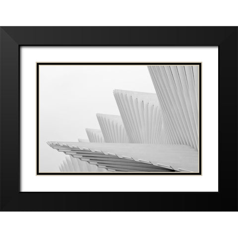 Fly Black Modern Wood Framed Art Print with Double Matting by Della Latta, Massimo