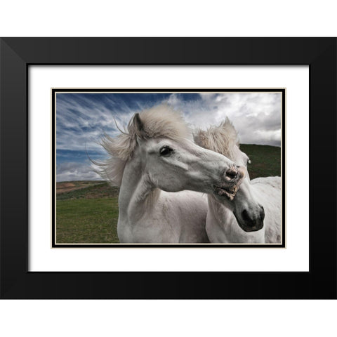 Playtime Black Modern Wood Framed Art Print with Double Matting by Ingibergsson, Bragi
