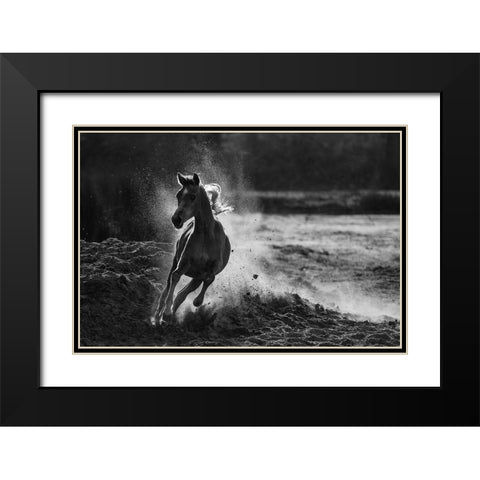 Take Off Black Modern Wood Framed Art Print with Double Matting by Alnaser, Mohammed