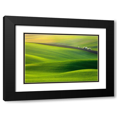 Spring Time... Black Modern Wood Framed Art Print with Double Matting by Browko, Krzysztof