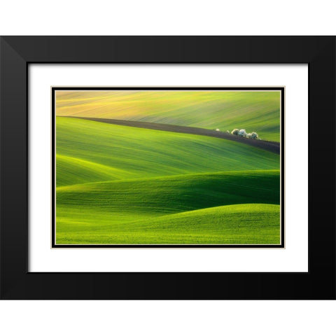 Spring Time... Black Modern Wood Framed Art Print with Double Matting by Browko, Krzysztof