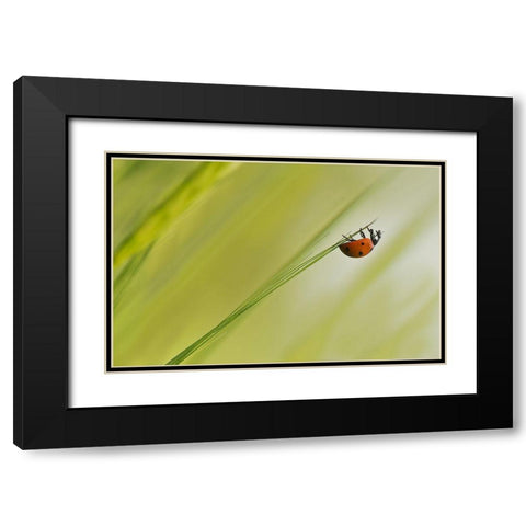 Up Black Modern Wood Framed Art Print with Double Matting by Zahirimehr, Maryam