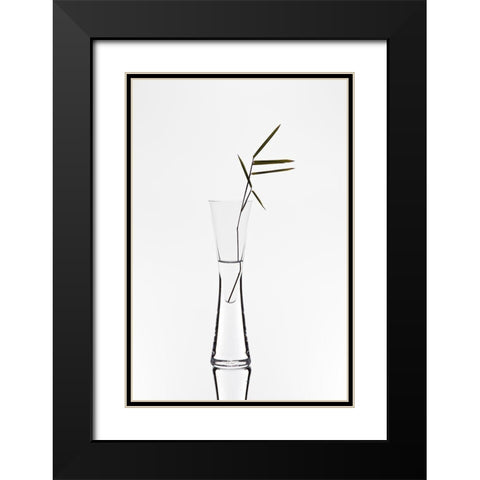 Bamboo Black Modern Wood Framed Art Print with Double Matting by Pabst, Christian