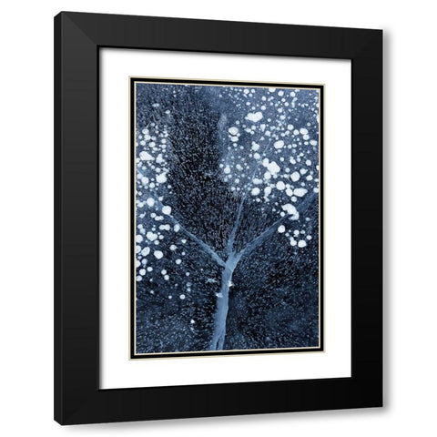 Winter Blossom Black Modern Wood Framed Art Print with Double Matting by Xu, Mei