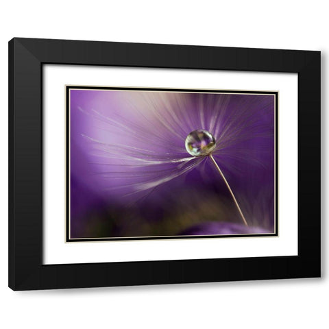 In Shades Of Purple Black Modern Wood Framed Art Print with Double Matting by Westum, Heidi
