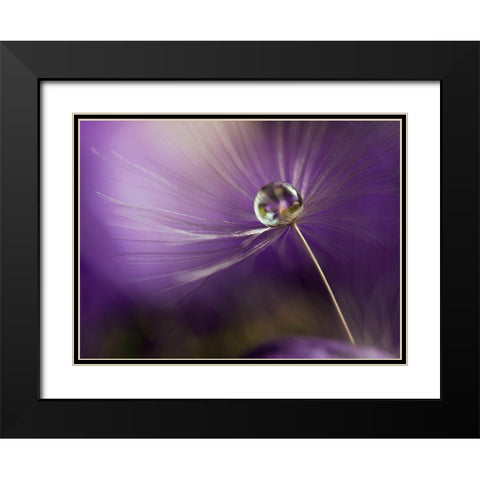 In Shades Of Purple Black Modern Wood Framed Art Print with Double Matting by Westum, Heidi