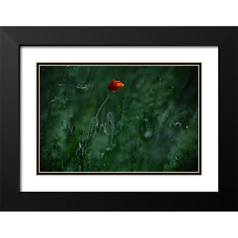 Blow Me Away... Black Modern Wood Framed Art Print with Double Matting by Neer, Ildiko