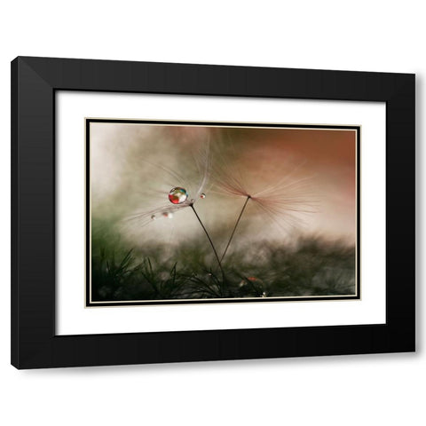 With And Without Black Modern Wood Framed Art Print with Double Matting by Westum, Heidi