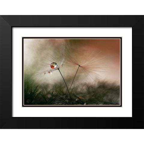 With And Without Black Modern Wood Framed Art Print with Double Matting by Westum, Heidi