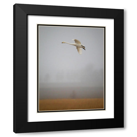 Out Of The Mist Black Modern Wood Framed Art Print with Double Matting by Sahlen, Jan