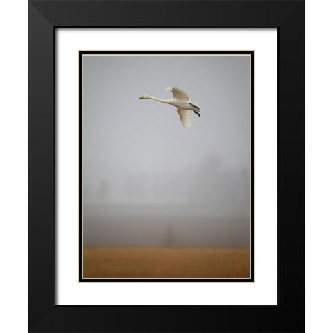 Out Of The Mist Black Modern Wood Framed Art Print with Double Matting by Sahlen, Jan